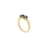 14KT Yellow Gold Double Sapphire Ring