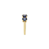 14KT Yellow Gold Double Sapphire Ring