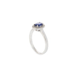 18KT White Gold Oval Sapphire and Diamond Halo Ring