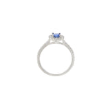 18KT White Gold Round Sapphire and Diamond Halo Ring