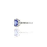 14KT White Gold Cushion Tanzanite And Diamond Ring