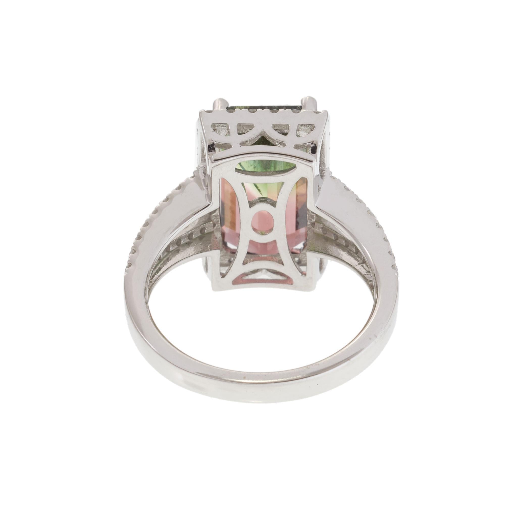 14KT White Gold 4.65CT Watermelon Tourmaline and Diamond Halo Ring