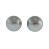 14KT White Gold Grey Tahitian Pearl Stud Earrings