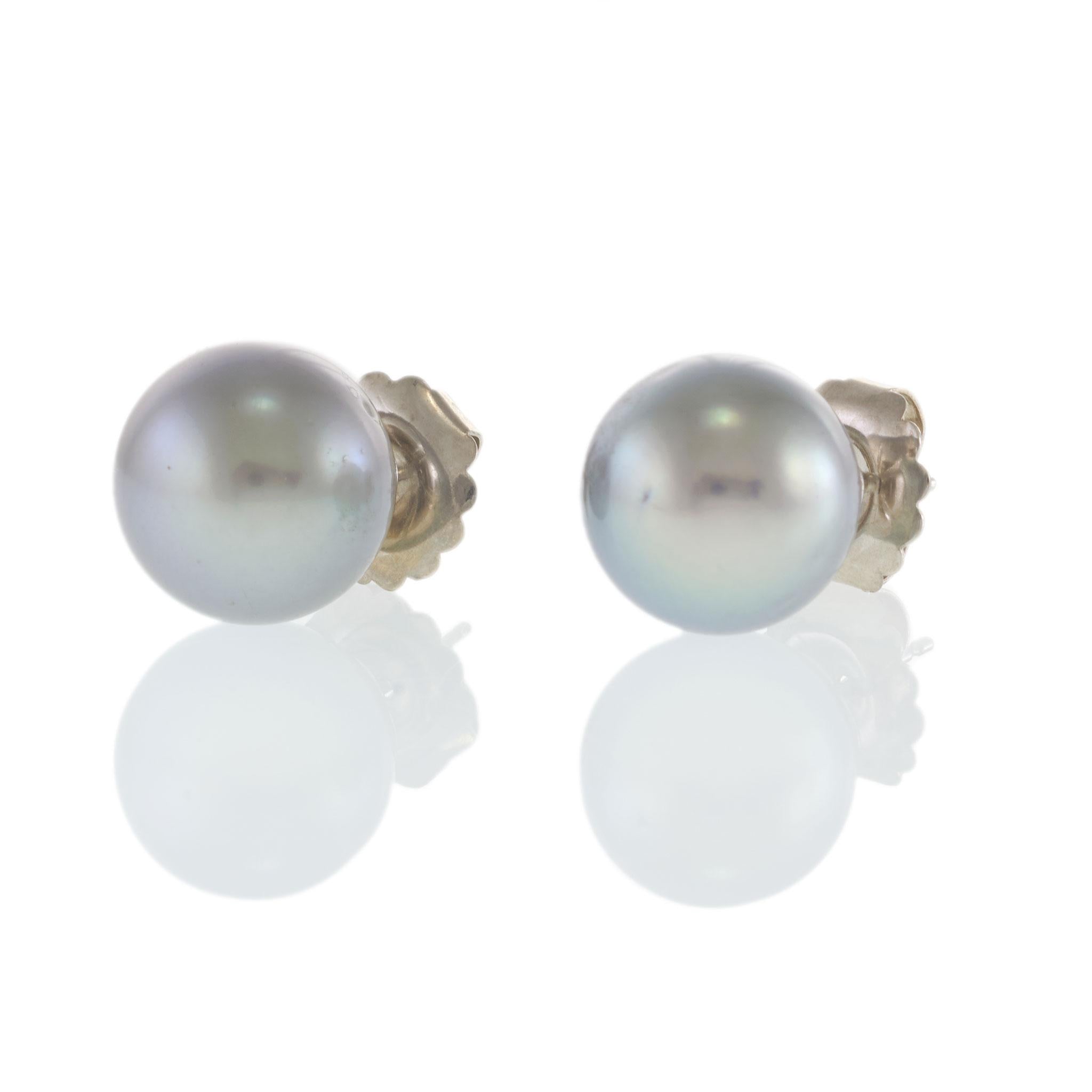 14KT White Gold Grey Tahitian Pearl Stud Earrings