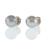 14KT White Gold Grey Tahitian Pearl Stud Earrings