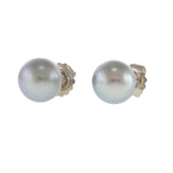 14KT White Gold Grey Tahitian Pearl Stud Earrings
