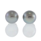 14KT White Gold Grey Tahitian Pearl Stud Earrings