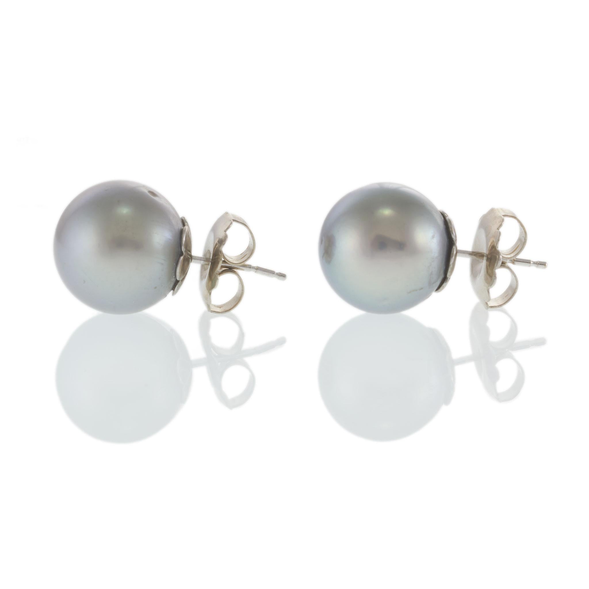 14KT White Gold Grey Tahitian Pearl Stud Earrings