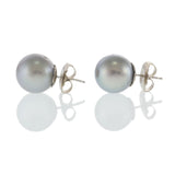 14KT White Gold Grey Tahitian Pearl Stud Earrings
