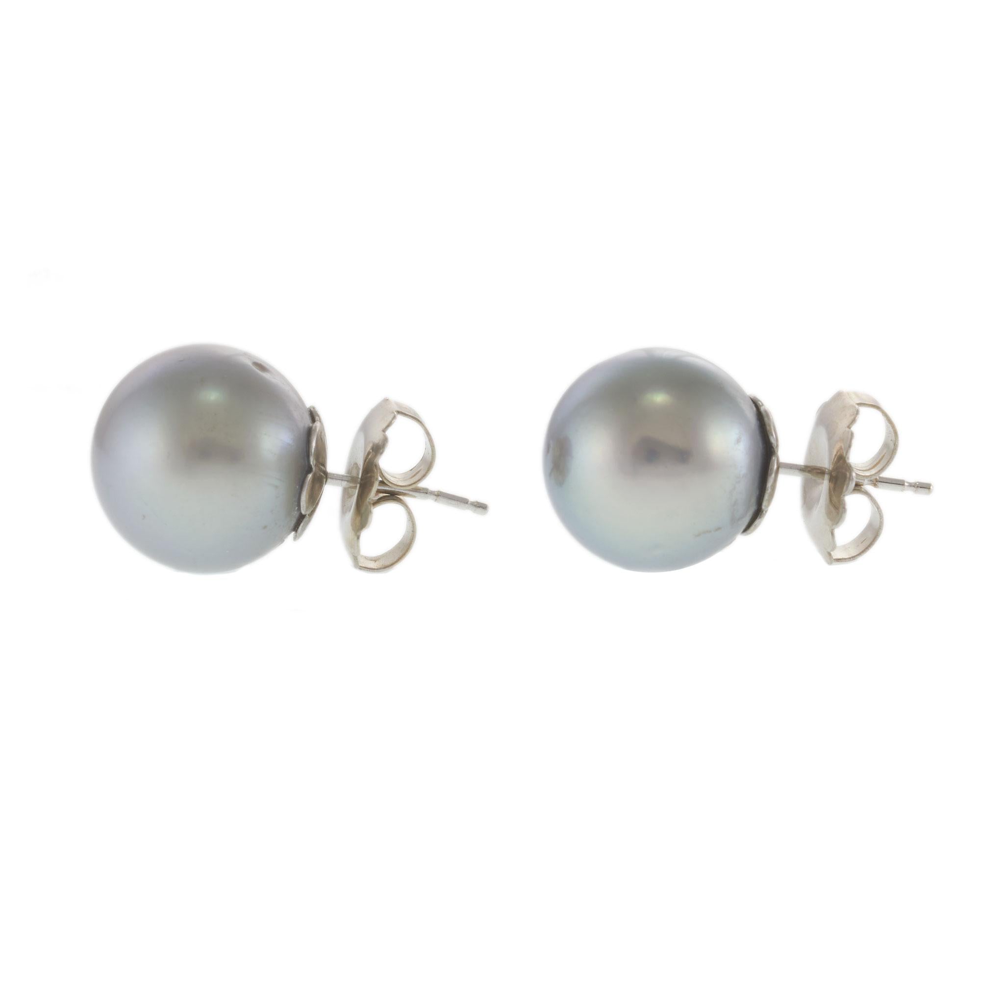 14KT White Gold Grey Tahitian Pearl Stud Earrings