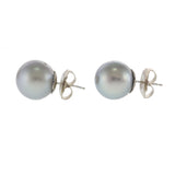 14KT White Gold Grey Tahitian Pearl Stud Earrings