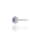 14KT White Gold Oval Tanzanite And Diamond Halo Ring