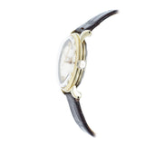Vintage 1960s Omega Seamaster